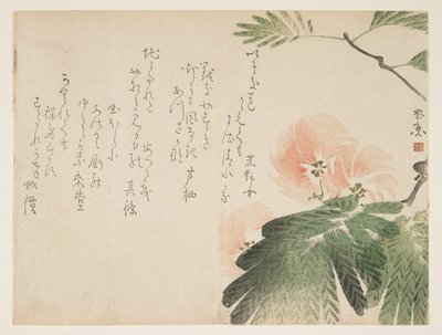 Flowering silk tree, c.1830-43 by Saigyo